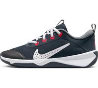 NIKE Unisex Kids Omni Multi-Court (Gs) Low