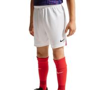 Nike Unisex Kids Paris Saint-Germain 2026/27 Stadium Away Nike Dri-fit Replika-fußballshorts Für Ältere Kinder Shorts
