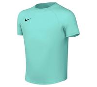 NIKE Unisex Kids Y Nk Df Park VIII JSY Ss Short-Sleeved Shirt (Pack of 1)