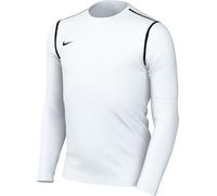 NIKE Unisex Y Nk Df Park20 Crew Top R Sweatshirt