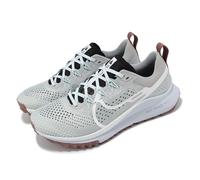 Nike Wmns React Pegasus Trail 4 Light Smoke Smokey Women Running Shoe DJ6159-005