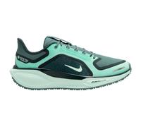 Nike - Women's Pegasus 41 GTX Road Running Shoes - Running shoes size 5, multi