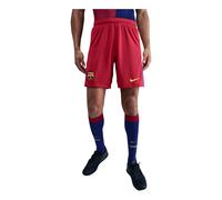 Nike x FC Barcelona 2025/26 Stadium Fourth Dri-FIT Replica Shorts 'Salsa Red Gym Blue Opti Yellow' FZ1332-602 XL
