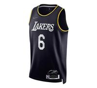 Nike x NBA LA Lakers Icon Edition Jerseys 'LeBron James 6' DH8060-010 XXXL