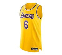 Nike x NBA LA Lakers Jerseys 'LeBron James 6' DB3317-730 S