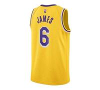 Nike x NBA LA Lakers Jerseys 'LeBron James 6' DB3576-731 XXL
