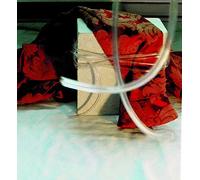 Nikki Sudden - Red Brocade (Remastered & Expanded)