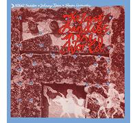 Nikki Sudden - The Last Bandits In The World