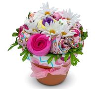 Nikki's Deluxe Baby Blossom: Baby Outfits (Boy or Girl) (Pink)