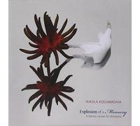 Nikola Kodjabashia - Explosion of a Memory