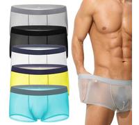 Niksy Underwear, Niksy Mens Ultra-Thin Ice Silk Transparent Boxer Briefs, Sheer Breathable Underwear,Cool (5 pcs-B,XL)