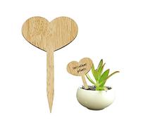 Niktule 30 Wooden Plant Labels, Anti Rust Garden Markers for Herb Vegetable Fruits, Heart/Butterfly Shaped Plants Tags for Nursery Seed Potted, Personalized Garden Greenhouse Supplies