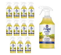 Nilco Angel Power 12L Garden Decking Wooden Floor Cleaner & Trigger Foam 12X 1L