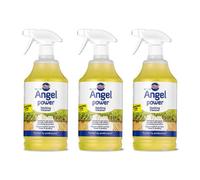 Nilco Angel Power 3L Garden Decking Wooden Floor Cleaner & Trigger Foam 3X 1L