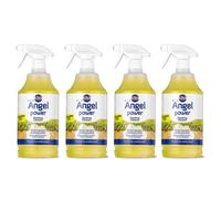 Nilco Angel Power 4L Garden Decking Wooden Floor Cleaner & Trigger Foam 4X 1L