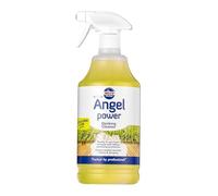 Nilco Angel Power - Decking Foaming Cleaner & Trigger, 1L