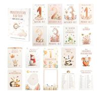 Nilnewuh Milestone Cards for Babies in German, My First Year Monthly Card Gift Set with 50 Cards for Girls Boys 1-12 Months, Especially for Developmental Control and Monthly Baby Photos
