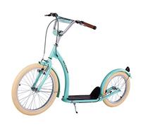 NILS EXTREME WH222 Mint Inflatable Scooter with Wheels