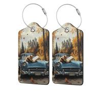 Nimbisense Reading Squirrels Print Leather Luggage Tags with Privacy Cover Name Id Label Identifiers Travel Bag Tags for Women Men