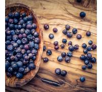 Nim's Juniper Berries 100g