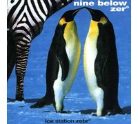 NINE BELOW ZERO Ice Station Zebr