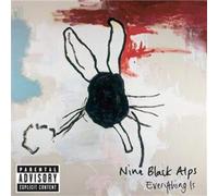 Nine Black Alps – Everything Is – UK edition – INTERSCOPE