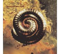 Nine Inch Nails - Closer to God