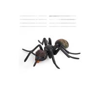 (Nine Set) Educational Model Insect Kit With Wasps Ants Crickets Nature For Learning
