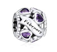 NINGAN Birthstone Charms for Bracelets-925 Sterling Silver Openwork Bead Charms, Love Heart Charms for Bracelets and Necklaces, Happy Birthday Gifts for Women Girls (February)