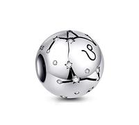 NINGAN Leo Zodiac Sign Birthday Charms - Women's Bead Charms 925 Sterling Silver Charms Fits Pandora Bracelet & Necklace for Women & Friends