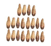 NINGANME 5 Bag Parrot Chew Nuts, Bird Chewing Toys, Natural Dried Nut for Beak Sharpening and Boredom Relief, Home Decorative Parrot Toy with Pure Ingredients for Pet Birds