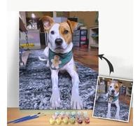 Ninglong Custom DIY Paint by Numbers Adult Kit - Create Stunning Wall Art with This Beginner Friendly Paint by Number Set(40x50cm,Already Framed)