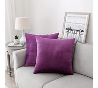 NiNi ALL Decorative Throw Pillow Covers Velvet Soft Solid for Couch Sofa Bedroom Living Room Outdoor Pack of 2 18x18 Inch Purple