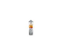 Ninja Blast MAX Portable Blender 570ml 3 modes