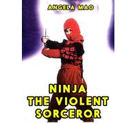 Ninja - The Violent Sorceror
