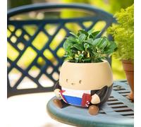 NINNSSOT Small Plant Pots Indoor Outdoor Cute Smiley Face Flower Head Planter, Resin Succulent Plant Pot, Strawberry Planter,String of Pearls Plant, Cactus Pot Ideas for Mother Christmas
