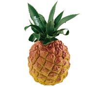 Nino by Meinl Percussion Pineapple Shaker