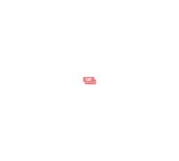 Nintendo Switch Lite Animal Crossing Coral CONSOLE ONLY NO GAME