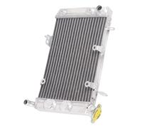 NIONGYN Compatible With Arctic For Cat For DVX400 2003 2004 2005 2006 2007 2008 Motorcycle All Aluminum Radiator Coolant Expansion Overflow Reservoirs Engine Water Cooling Cooler