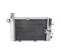 NIONGYN Compatible With Tuono 1000R For Tuono 1000H 2002 2003 2004 2005 Engine Cooling Radiator Cooler Coolant Overflow Tanks Replaces OEM:AP8102952 Engine Water Cooling Cooler(Left)