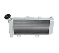 NIONGYN Compatible With XT660R For X 2004 2005 2006 2007 2008 2009 2010 2011 2012 2013 2014 Motorcycle Accessories Radiator Engine Cooling Cooler Engine Water Cooling Cooler