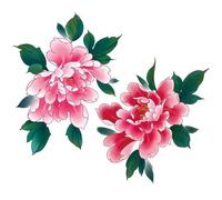 Nirbffo Large Shoulder Temporary Tattoo Rose Peony Red Flower for Women Body Art Fake Fake Waterproof Tattoo Arm Leg Chest Tattoo 5 Sheets
