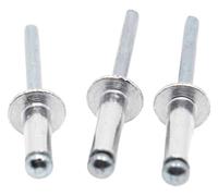 NIRNHYRUR Rvets 10/20pcs M2.4 M3.2 M4 M5 M6 GB12618 Aluminium Head Break Mandrel Blind Rivets Nail Pop Rivet(6mm,M4 20pcs)