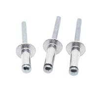 NIRNHYRUR Rvets 10/20pcs M2.4 M3.2 M4 M5 M6 GB12618 Aluminium Head Break Mandrel Blind Rivets Nail Pop Rivet(10mm,M3.2 20pcs)