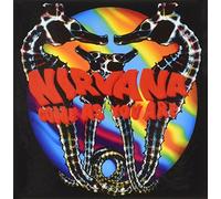 Nirvana Come As You Are Steel Metal Fridge Magnet Album Band Logo Icon Official