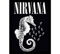Nirvana Seahorse Framed Poster in Black Nirvana Black