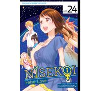 Nisekoi: False Love, Vol. 24 : Night of Falling Stars Volume 24
