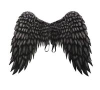 Nishiyuenyi Halloween Angel Costume Feather Detail Accessory Cosplay Prop With Holding Loops Non Woven Lightweight Foldable Size Suitable for Halloween Parties, color to 3