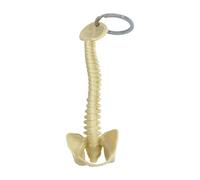 Nishiyuenyi Human Spine Keychain Bag Charm PVC 15cm Handmade Small Lightweight Biology Key Key Pendant Orthopedist Key Gift, Light Yellow
