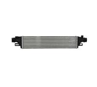 NISSENS 961319 Intercooler